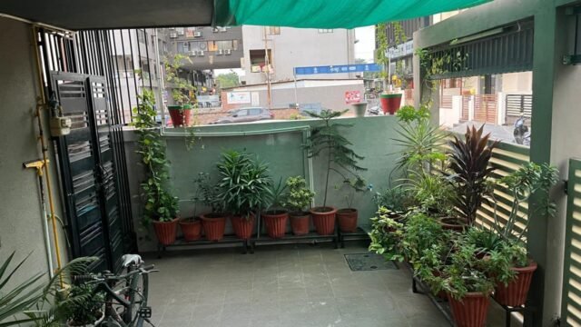 WhatsApp Image 2026-07-24 at 14.17.15 (1)