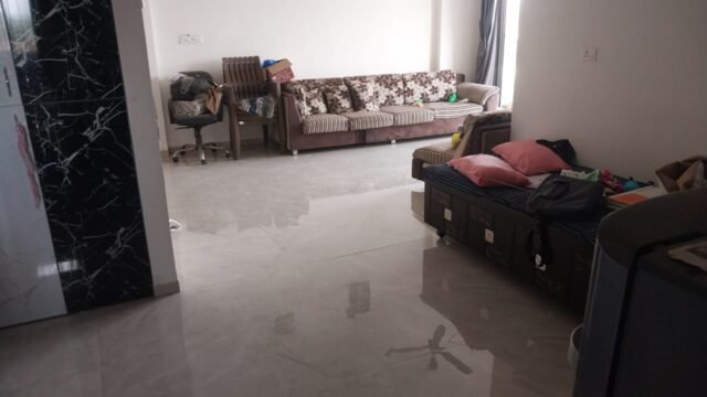 WhatsApp Image 2026-08-11 at 11.22.42