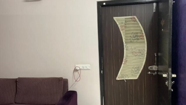 WhatsApp Image 2026-08-11 at 11.30.36