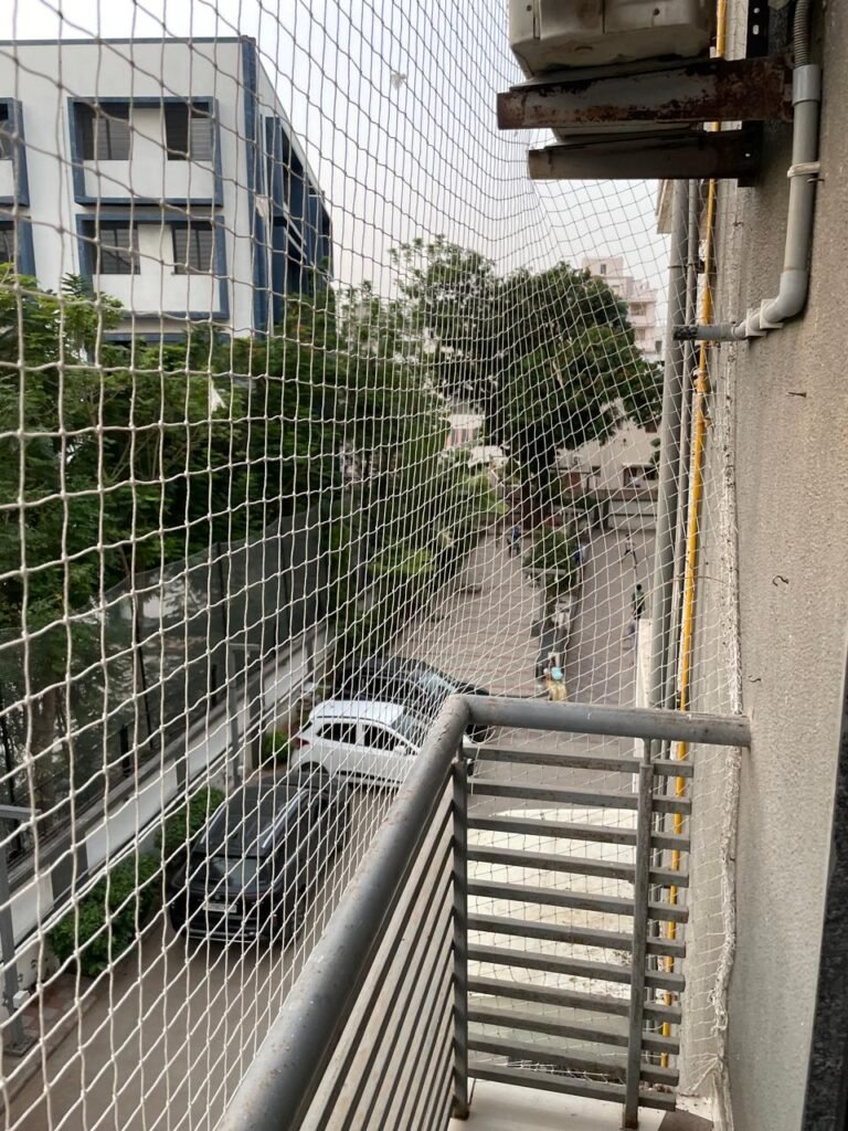 WhatsApp Image 2026-08-11 at 11.30.40