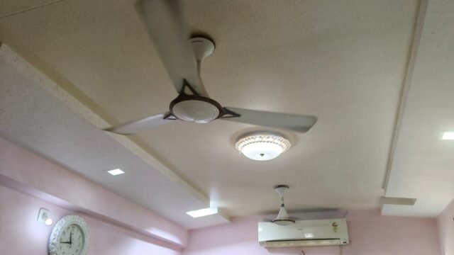 WhatsApp Image 2026-08-17 at 18.49.30 (2)