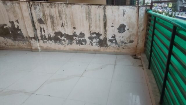 WhatsApp Image 2026-09-11 at 18.41.51 (3)